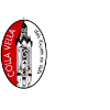 Colla Vella dels Xiquets de Valls